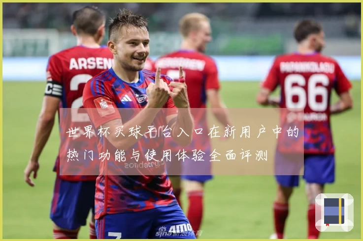 世界杯买球平台入口在新用户中的热门功能与使用体验全面评测