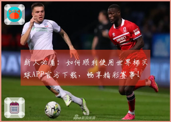 新人必看：如何顺利使用世界杯买球APP官方下载，畅享精彩赛事！