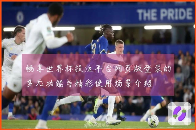 畅享世界杯投注平台网页版登录的多元功能与精彩使用场景介绍