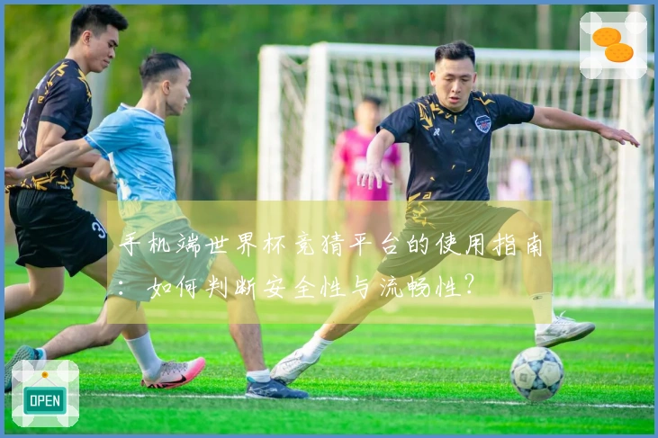 手机端世界杯竞猜平台的使用指南:如何判断安全性与流畅性?