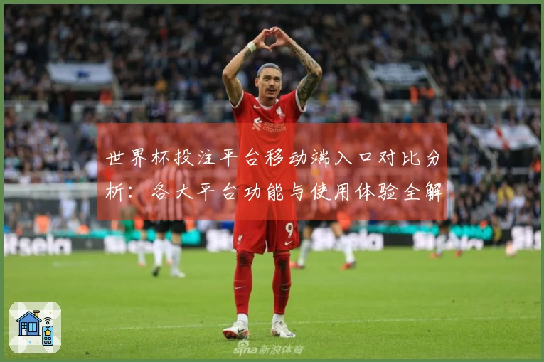 世界杯投注平台移动端入口对比分析：各大平台功能与使用体验全解析