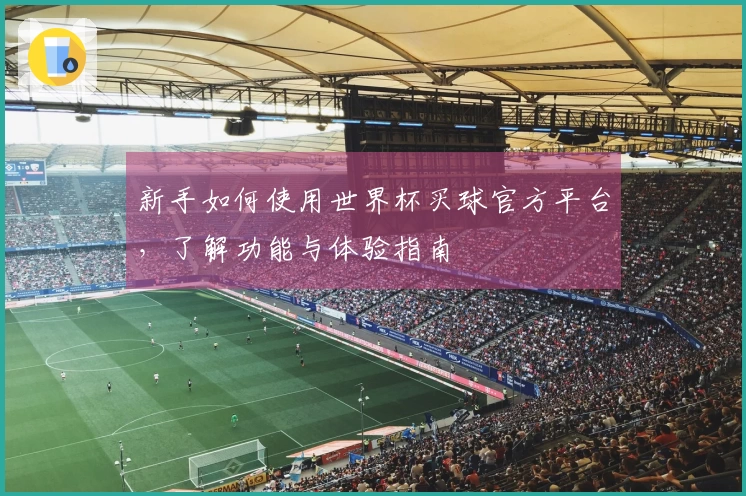 新手如何使用世界杯买球官方平台，了解功能与体验指南