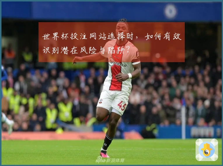 世界杯投注网站选择时，如何有效识别潜在风险与陷阱？